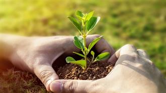 ΚΕΠΑ: Πρωτοβουλία «75UN – 75 Trees UNAI SDG7» - Διάθεση Δένδρων και 4η Διάσκεψη στο Μπουραζάνι