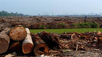 FAO: Περίπου 1,7 Δισεκατομμύριο Άνθρωποι Πλήττονται από την Υποβάθμιση των Εδαφών