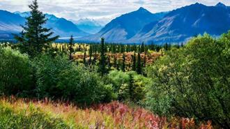 Κίνα: Επιταχύνει τον Εκσυγχρονισμό των Κρατικών Μονάδων Δασοκομίας