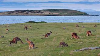 Η Αυστραλία Ψηφίζει Νόμο, Αναδιαμορφώνοντας την Προστασία της Φύσης