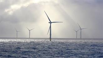 Γερμανία-Μελέτη: Από Υπεράκτιες Ανεμογεννήτριες Σκοτώνονται Μόνο 12 Αποδημητικά Πτηνά Ετησίως