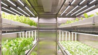 Οι Κινέζοι θα Καλλιεργούν Μανιτάρια και Λαχανικά σε Πλοία και Απομακρυσμένες Περιοχές