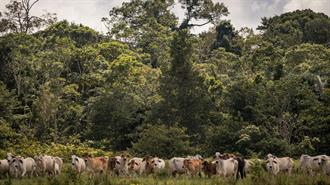Συνεργασία Πανεπιστημίων για την Αειφορία της Κτηνοτροφίας στα Υψηλά Όρη Υπό Συνθήκες Κλιματικής Αλλαγής