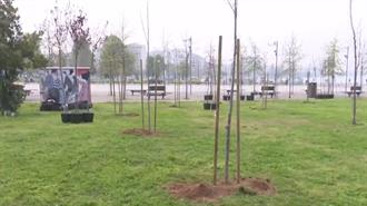 Θεσσαλονίκη: Πρασινίζει το Campus του ΑΠΘ με τη Φύτευση 500 Νέων Δέντρων