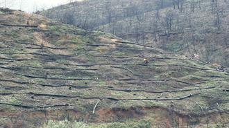 Επίσκεψη Παπασταύρου στην Αχαΐα για τα Αντιδιαβρωτικά και Αντιπλημμυρικά Έργα - Προχωρά το Φ/Β Πάρκο των Ενεργειακών Κοινοτήτων Δ. Ελλάδας