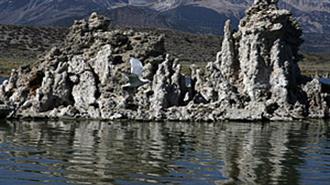 NASA: Ανακάλυψη Μίας Νέας Μορφής Ζωής