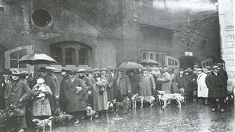 ﻿Η Κρίση Πρελούδιο σε Έναν Νέο «Μεσοπόλεμο» Πολλών Ταχυτήτων ;