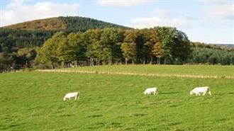 Copa-Cogeca: Απαραίτητη Νέα Συμφωνία για την ΚΑΠ έως τον Ιούνιο