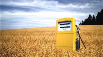 ΣΒΙΒΕ: Δεν Οφείλονται στο Βιοντήζελ οι Μικροβιακές Μολύνσεις στο Πετρέλαιο Κίνησης