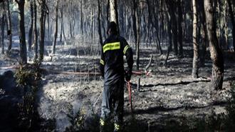 Γιώργος Δημαράς: Η Ελλάδα Χρειάζεται Εργαλείο Προστασίας Δασικού Πλούτου και Δημόσιας Περιουσίας