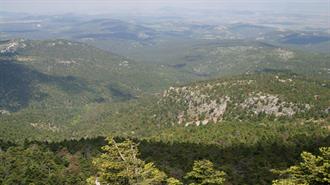 Κτηματολόγιο: Παρατείνεται η Προθεσμία Δηλώσεων στους Δήμους της Περιοχής της Πάρνηθας