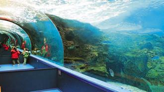 Συνέδριο για την Προώθηση της Περιβαλλοντικής Αγωγής για το Θαλάσσιο Περιβάλλον στην Κρήτη